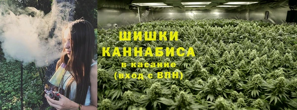 эйфоретик Богданович