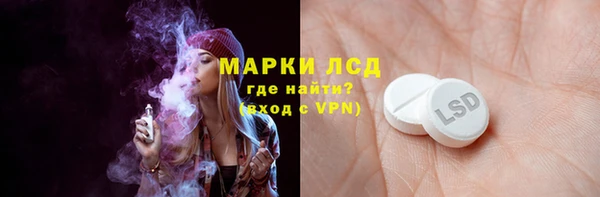эйфоретик Богданович