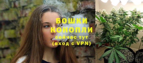 эйфоретик Богданович