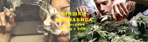 эйфоретик Богданович